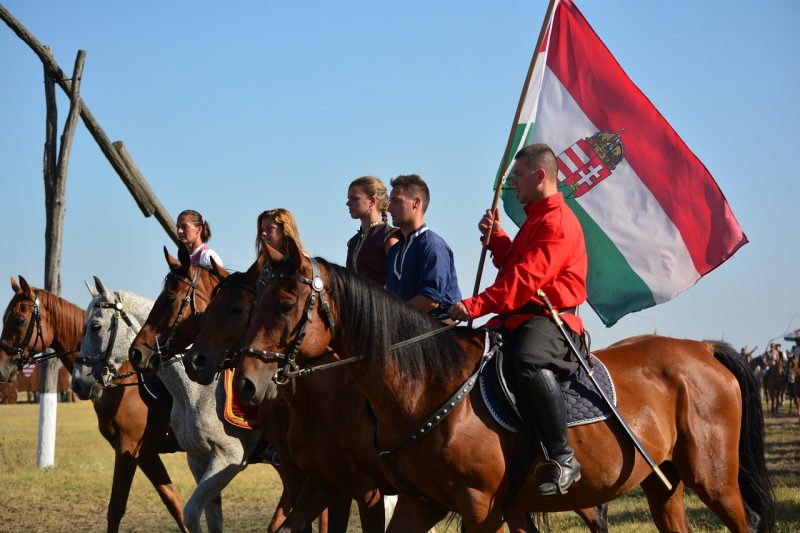hungarian-173703_1280