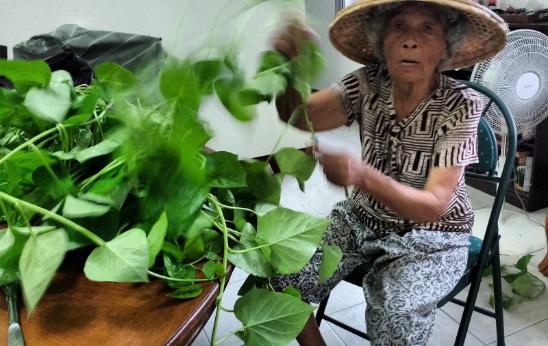 A-Pi-and-her-Sweet-Potato-Greens_cropped