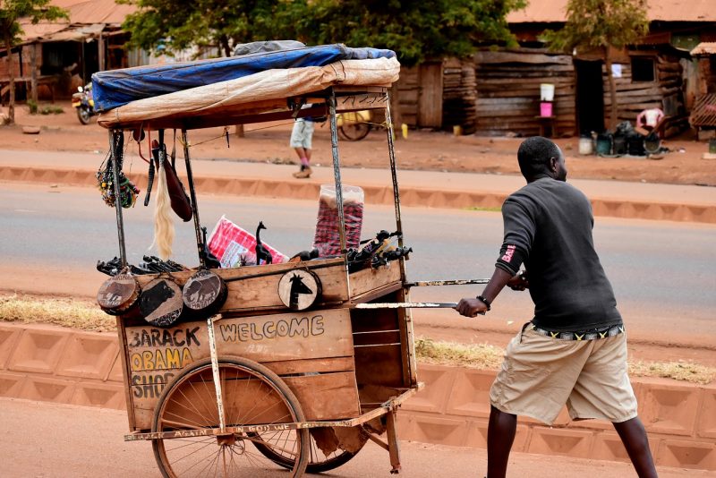 tanzania-1536551_1280