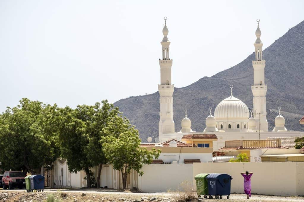 View of a mosque with minarets and a dome, surrounded by trees and cityscape.