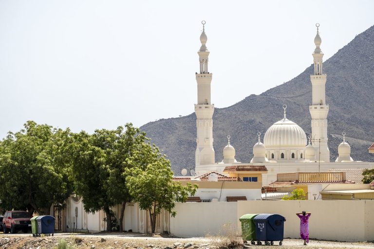 View of a mosque with minarets and a dome, surrounded by trees and cityscape.