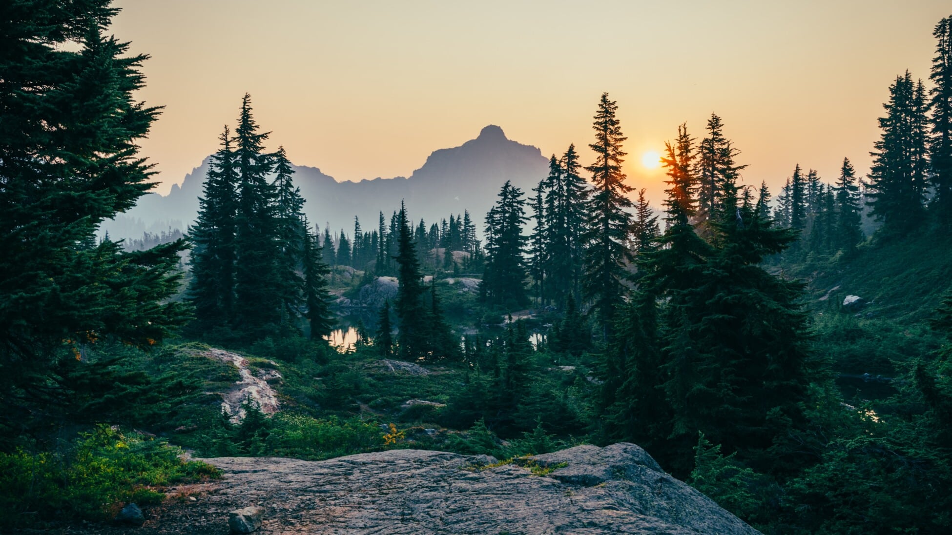 Group cover image