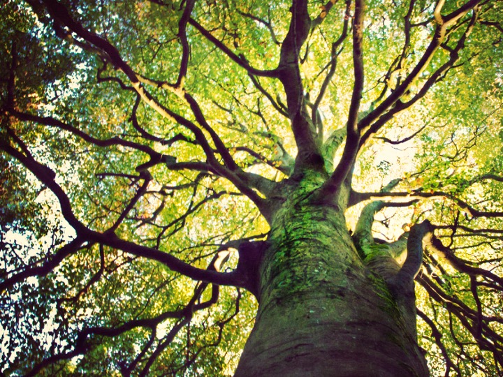 Group cover image